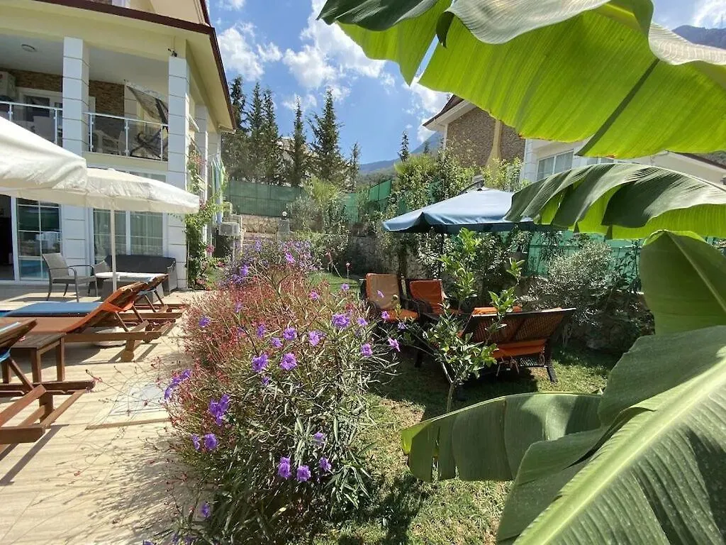 Alpine Villa At Hisaroenue Oeluedeniz Ovacik Fethiye 6+2, 12 People 0*,  Turkey