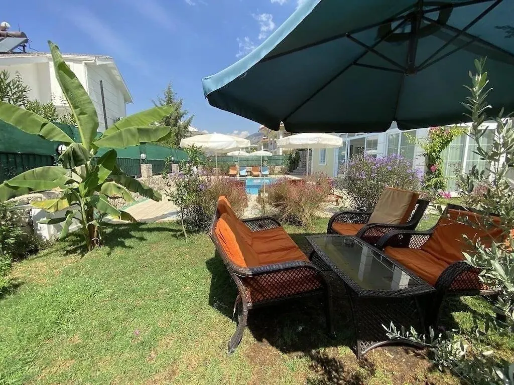 Alpine Villa At Hisaroenue Oeluedeniz Ovacik Fethiye 6+2, 12 People 0*,