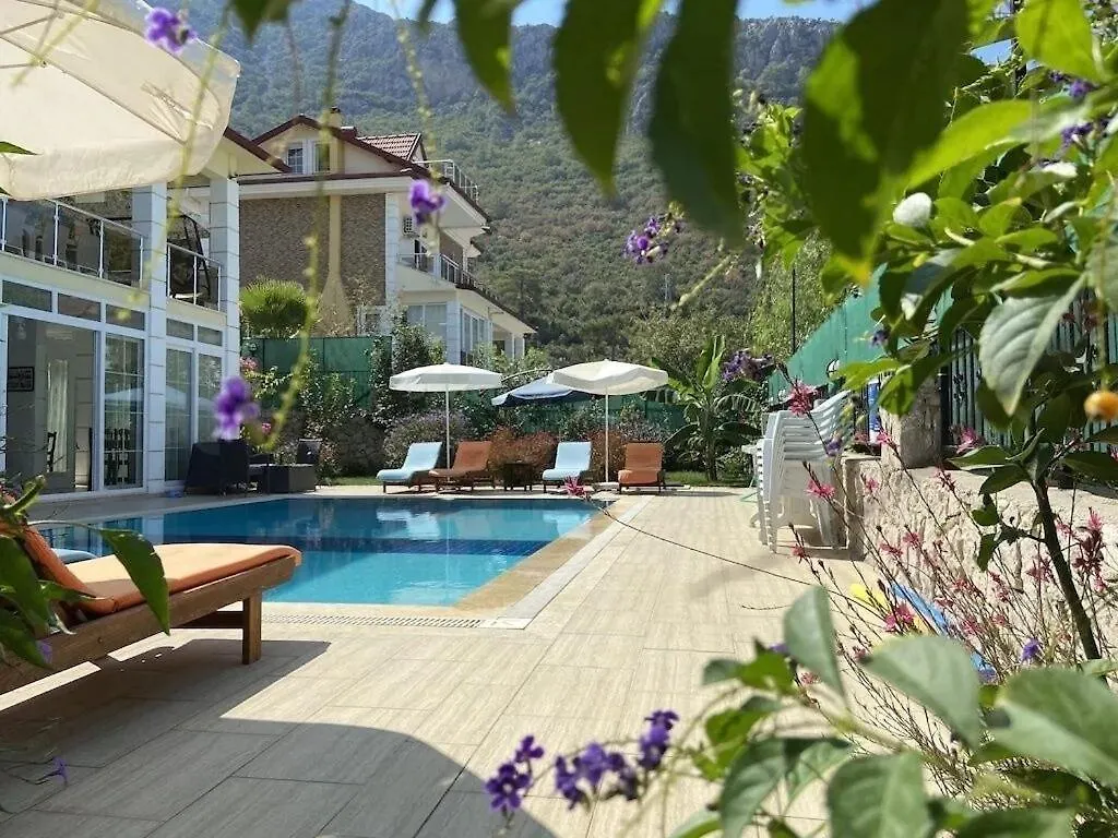 Alpine Villa At Hisaroenue Oeluedeniz Ovacik Fethiye 6+2, 12 People