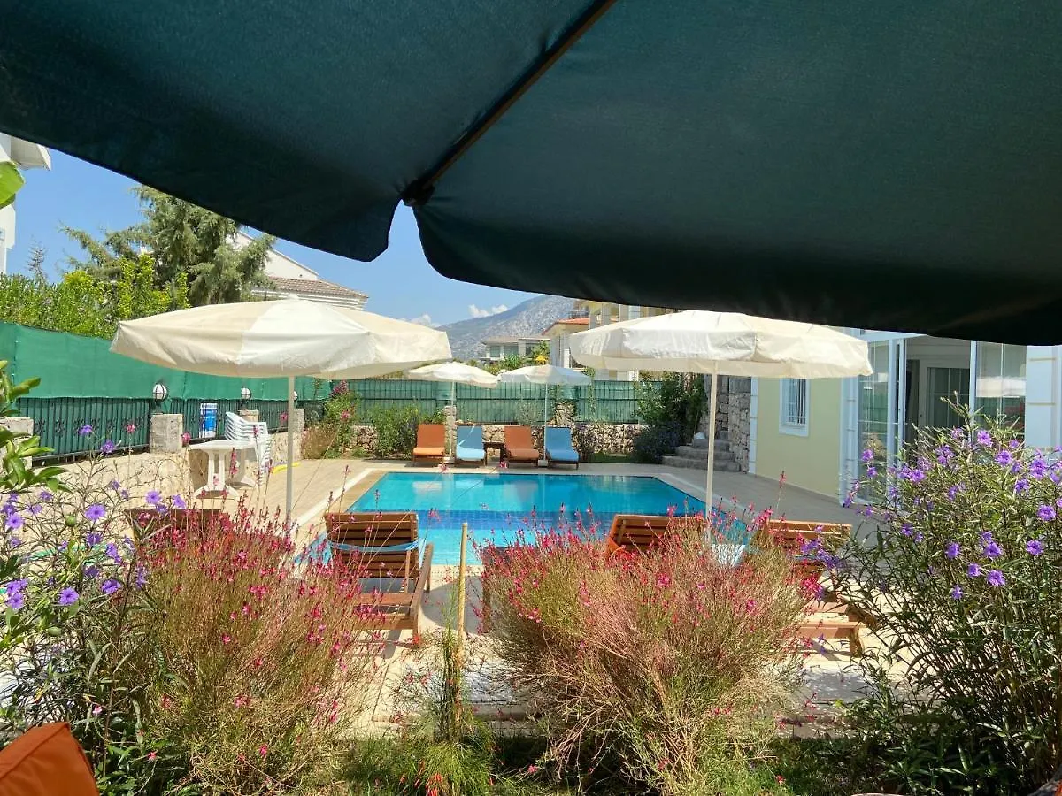 Alpine Villa At Hisaroenue Oeluedeniz Ovacik Fethiye 6+2, 12 People トルコ